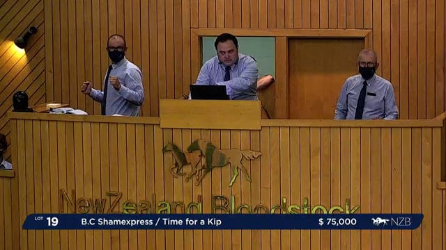 Karaka 2022 - Book 1, Day One: Lots 19 - 27
