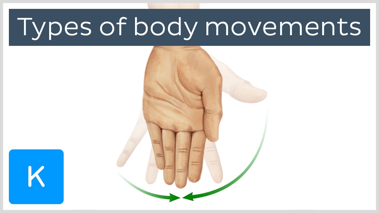 ArtStation Supination And Pronation Tip And Example