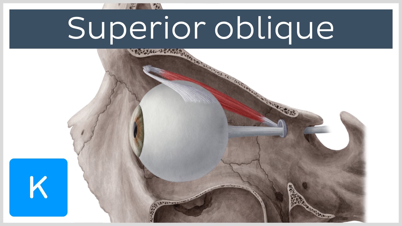 superior oblique lesion