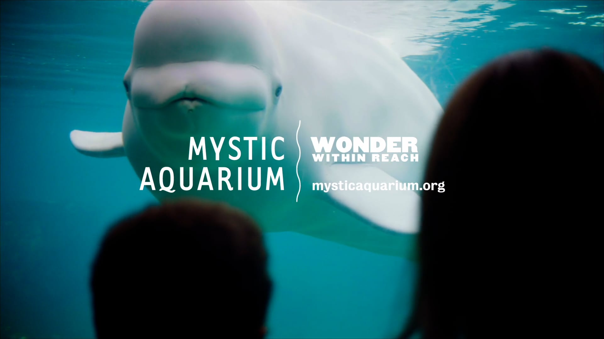 MYSTIC AQUARIUM