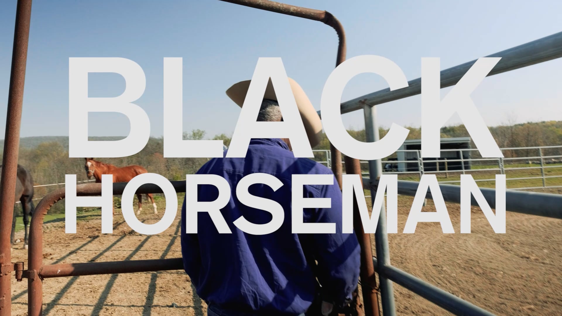 BLACK HORSEMAN SAMPLE