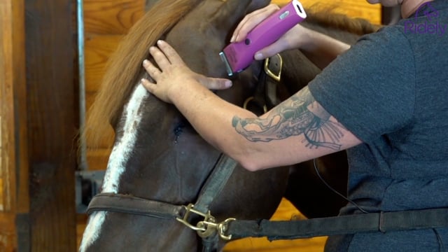 Clipping the Horse’s Head