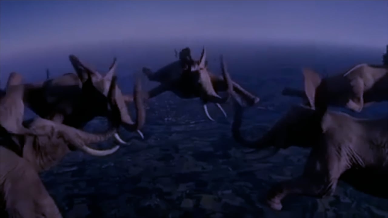 https://i.vimeocdn.com/video/1389272250-d5838b06696cb796e3d588a846e3b583468d5053fa4781ae6fb644cb2ccae096-d