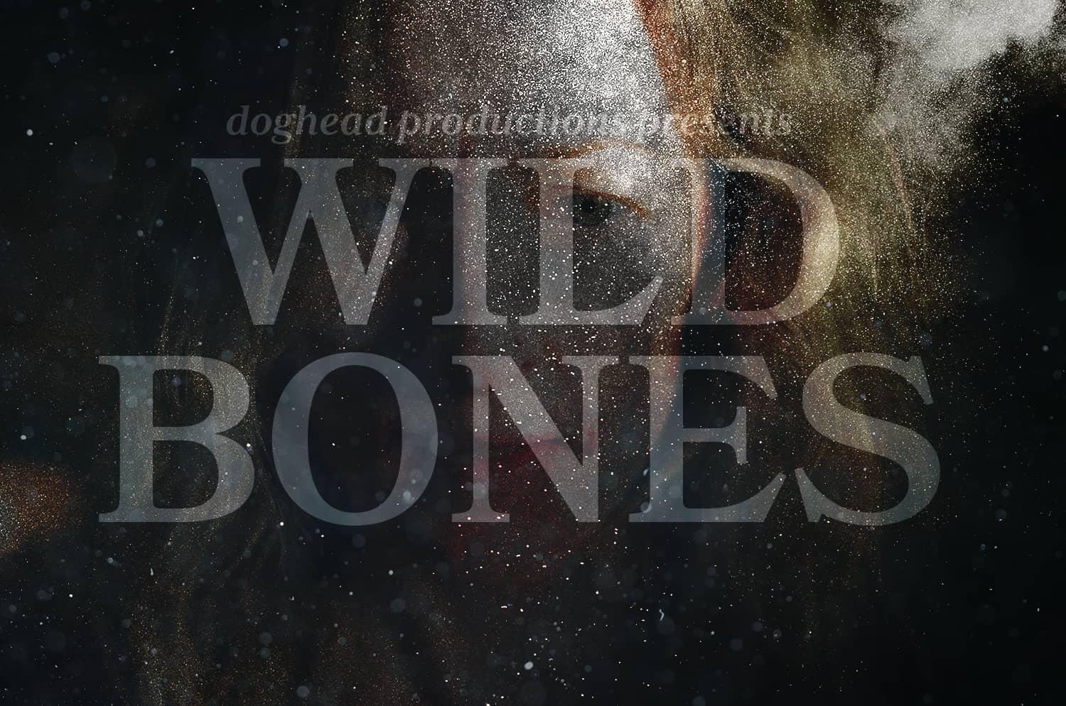 Wild Bones Teaser 2022 on Vimeo