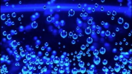 https://i.vimeocdn.com/video/1389457732-c3ec255615577c733f332466f8317ff605e2aa6911cb9d61c812e2601a0cd60a-d