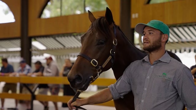 KARAKA 2022 - Lance O'Sullivan