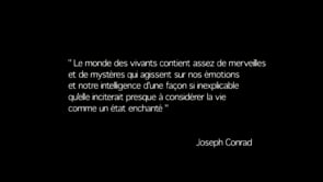 Le voyage de Georges Ricard Cordingley