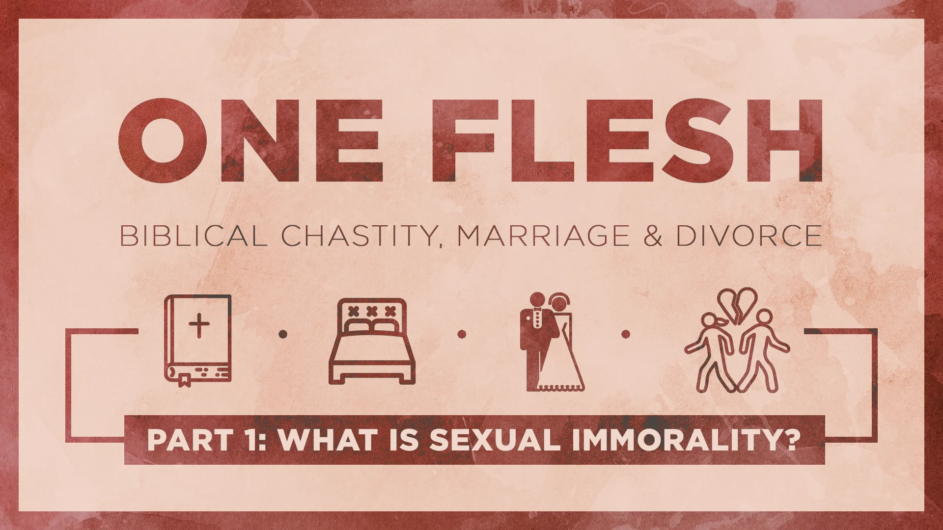one-flesh-biblical-chastity-marriage-divorce-part-1-what-is
