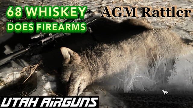 Coyote and Raccoon Hunting with AGM Clip-On TC-35 | LWRC 5.56 AR15