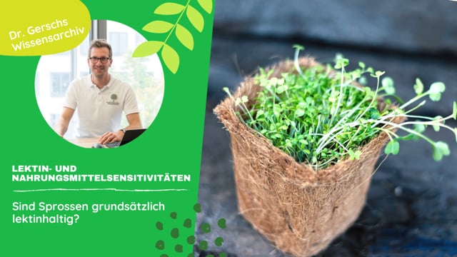 Sind Sprossen grundsätzlich lektinhaltig? 