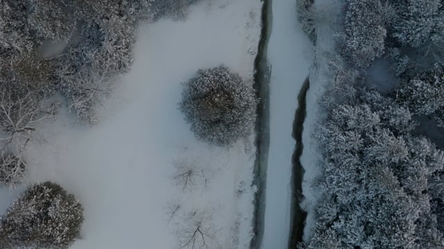 Birds-eye view of a river carving through the woods in the winter. 