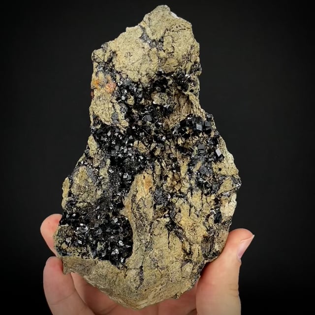 Andradite var. Melanite Garnet (old classic) Burnett Coll.