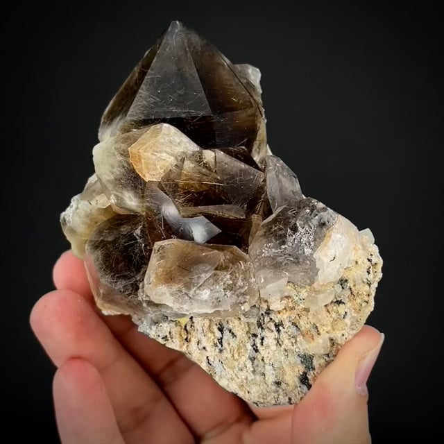 Smoky Quartz w/ Astrophyllite & Riebeckite (rare combo) Herb Obodda