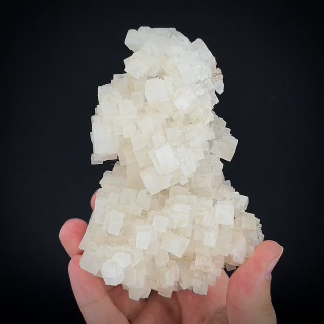 Halite (RARE OLD California - 1898!) Burnett Coll.