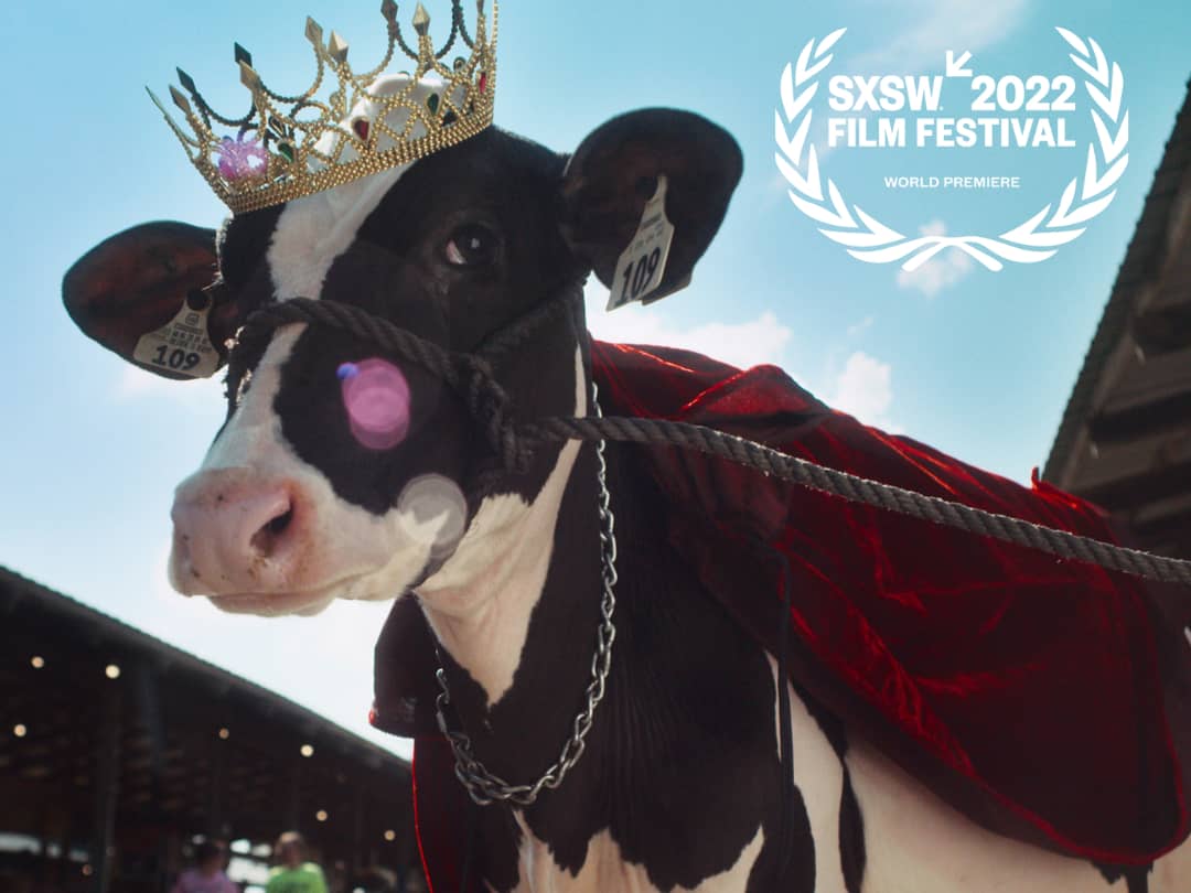 Dress A Cow Official Trailer on Vimeo