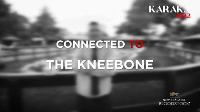 KARAKA 2022 - Connected to the Kneebone