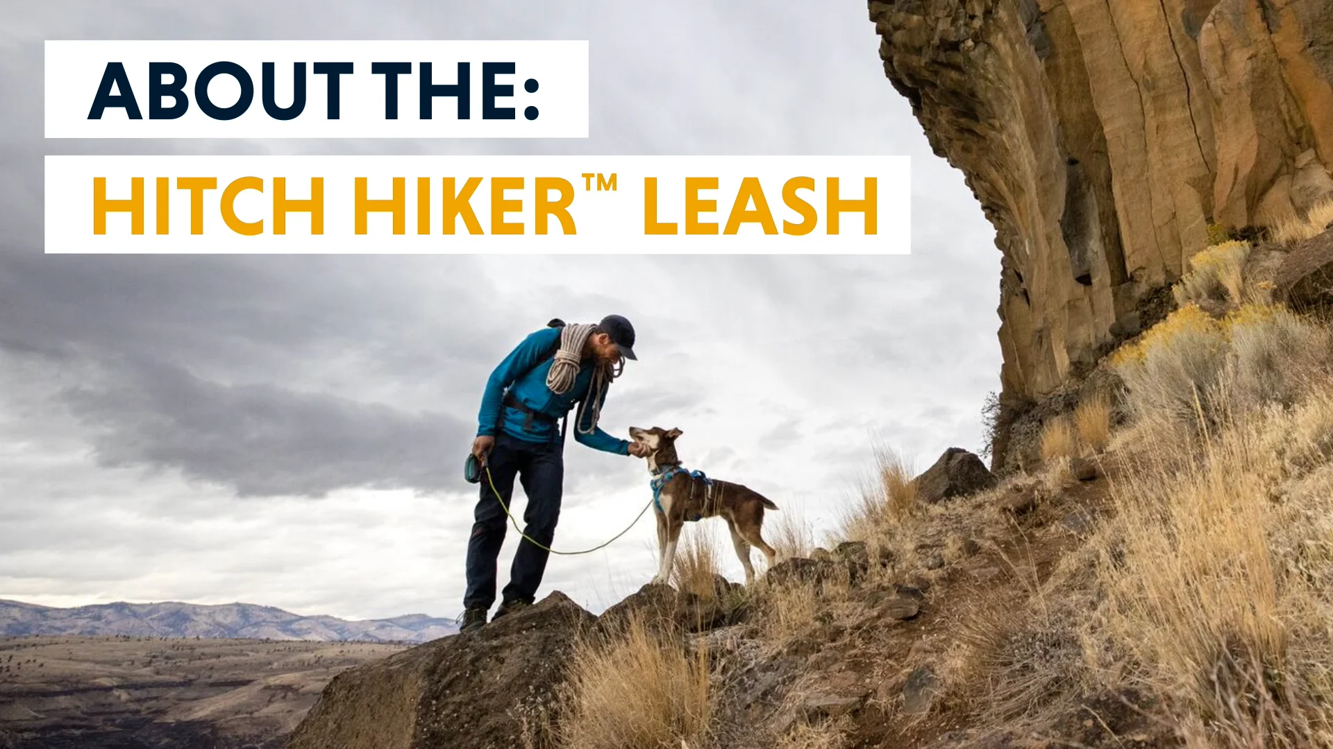 About The Hitch Hiker Leash