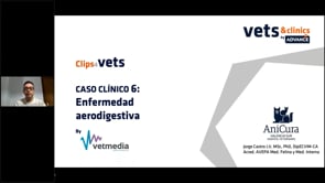 Caso clínico - Enfermedad aerodigestiva canina