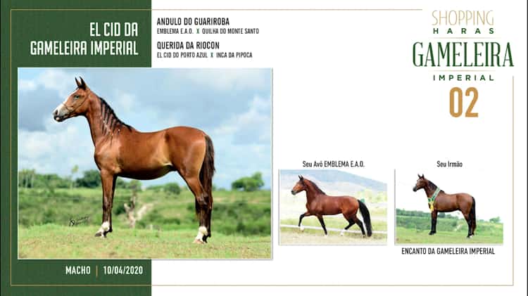 LOTE 02 