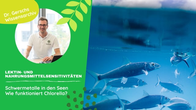 Schwermetalle in den Seen und Chlorella - ist Bio-Chlorella eine schlechte Wahl?