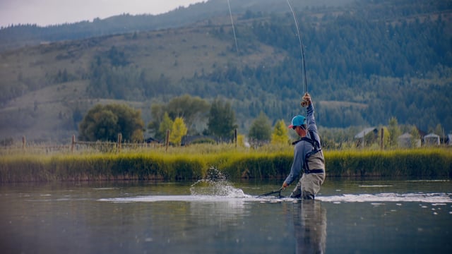 Scientific Anglers サイエンティフィックアングラーズ ブランドページ | ティムコ