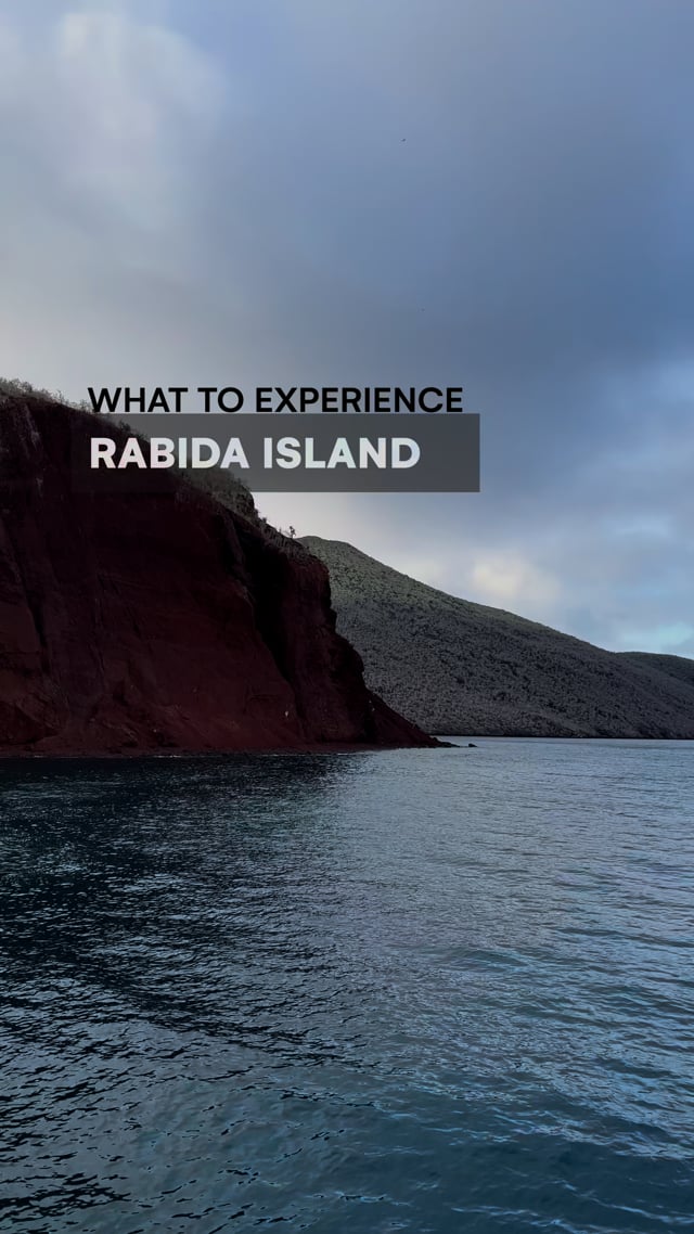 Rabida Island the Galapagos with G Adventures