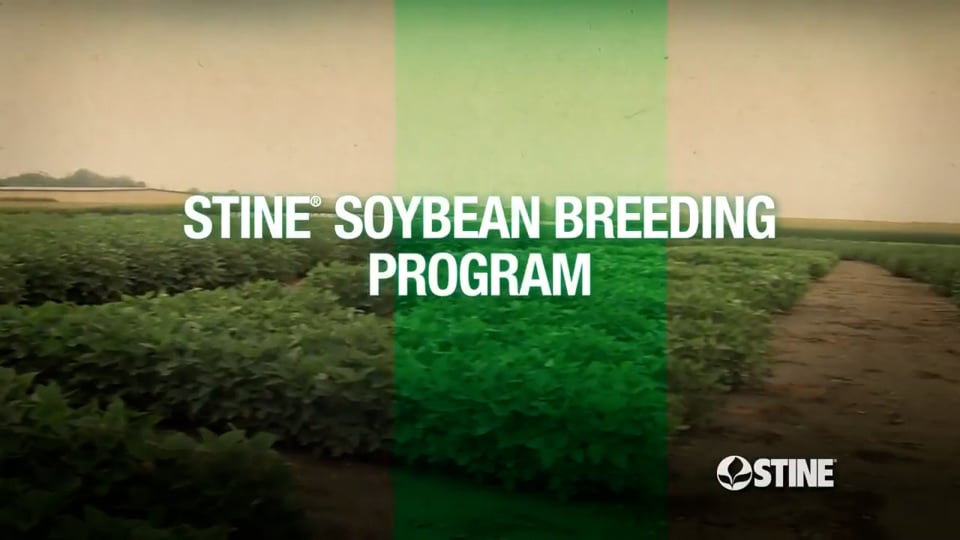 Soybean Breeding Program