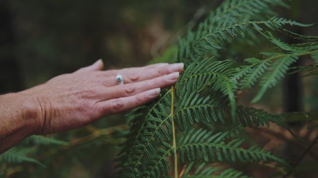 Mindful in Nature Tours - Margaret River