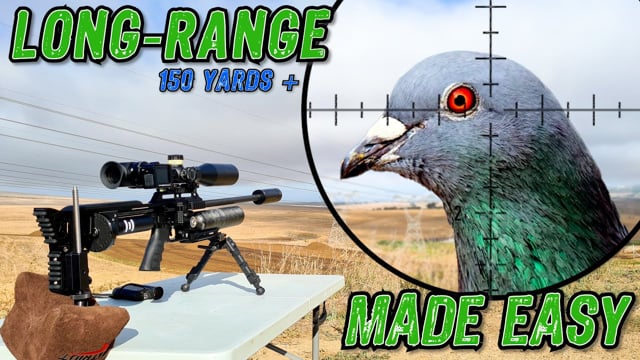 Long-Range Made Easy | FX Impact M3 800mm | FX Crown MkII | Airgun Pest ...