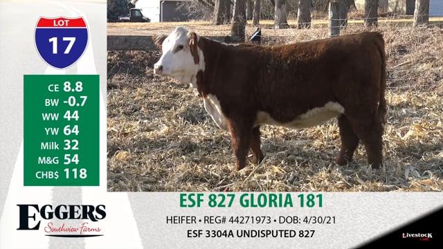 Lot #17 - ESF 827 GLORIA 181