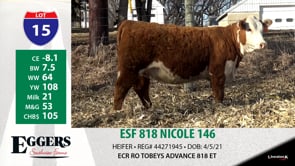 Lot #15 - ESF 818 NICOLE 146