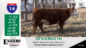 Lot #14 - ESF 818 BELLE 145
