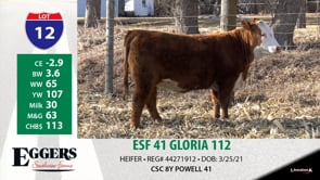 Lot #12 - ESF 41 GLORIA 112