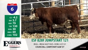 Lot #6 - ESF 828F JUMPSTART 121