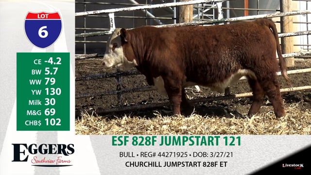 Lot #6 - ESF 828F JUMPSTART 121