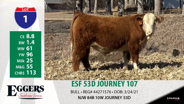 Lot #1 - ESF 53D JOURNEY 107