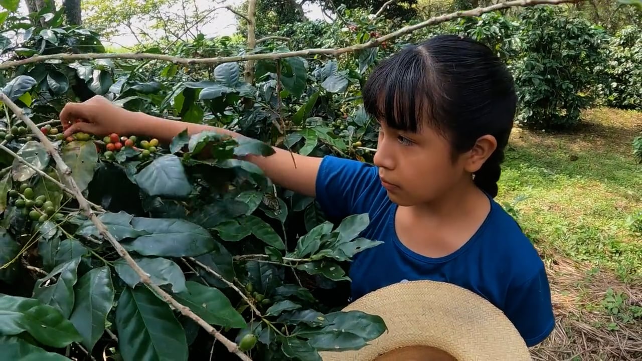 Finca "El Deseo"