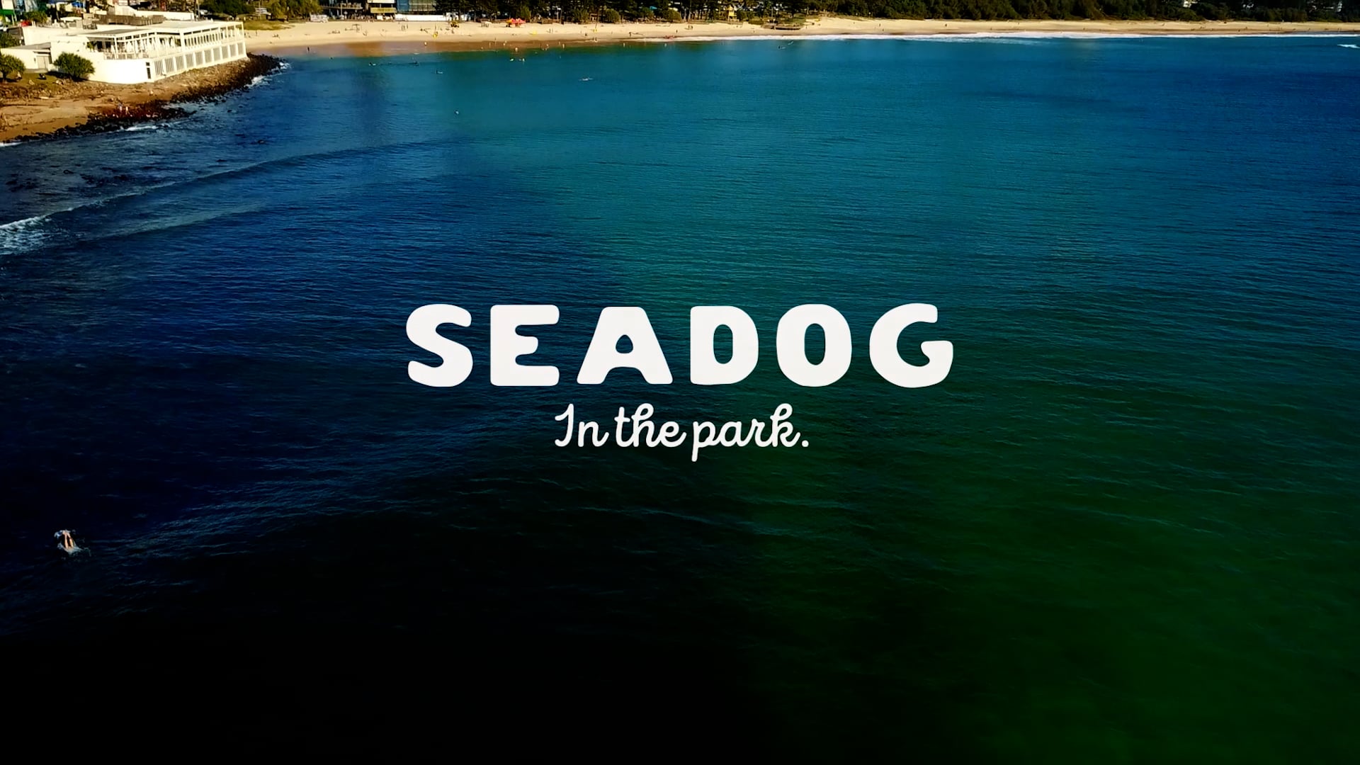 SEADOG IN THE PARK