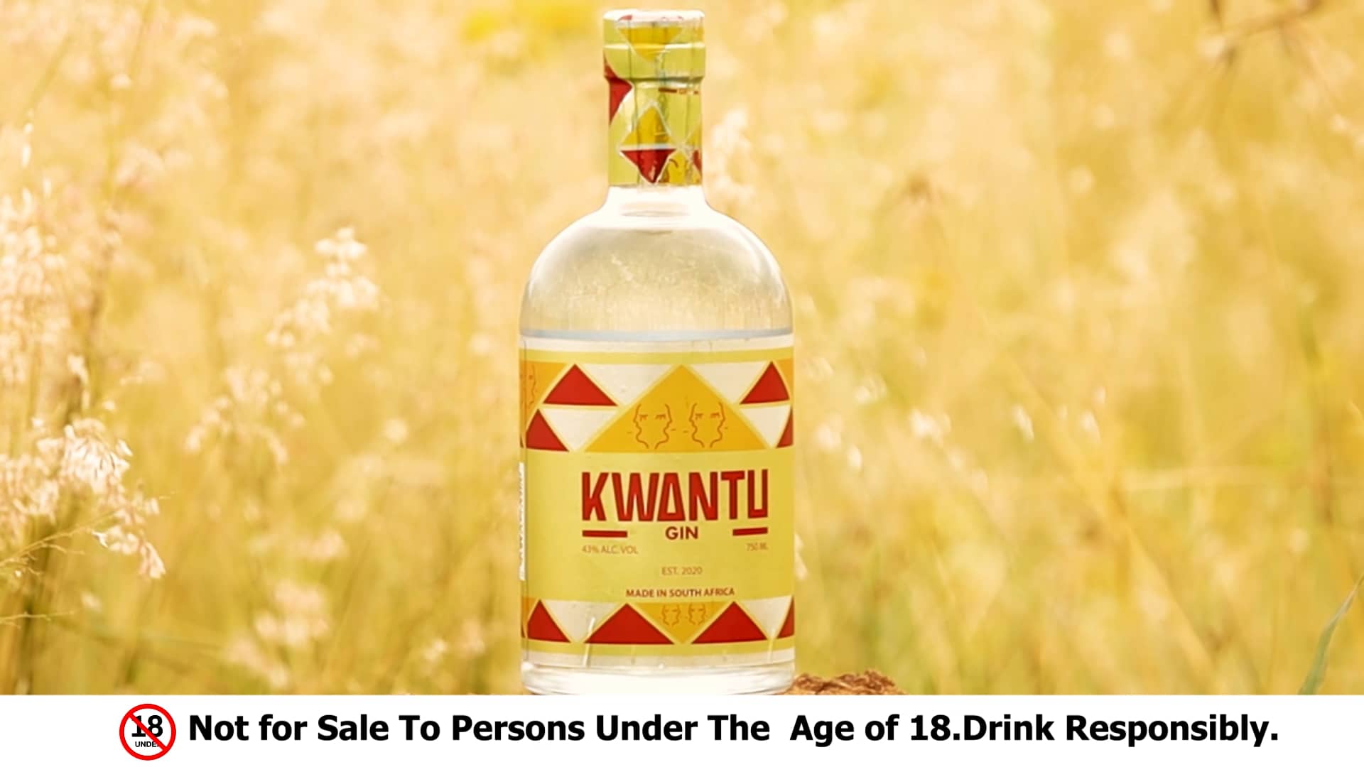 KwaNtu Gin on Vimeo