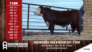 Lot #110H - SNOWSHOE 40E VIKTOR E81 110H