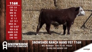 Lot #116H - SNOWSHOE RANCH HAND Y07 116H