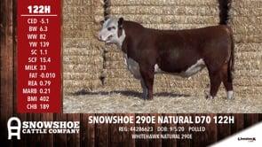 Lot #122H - SNOWSHOE 290E NATURAL D70 122H