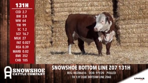 Lot #131H - SNOWSHOE BOTTOM LINE Z07 131H
