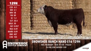 Lot #129H - SNOWSHOE RANCH HAND E16 129H