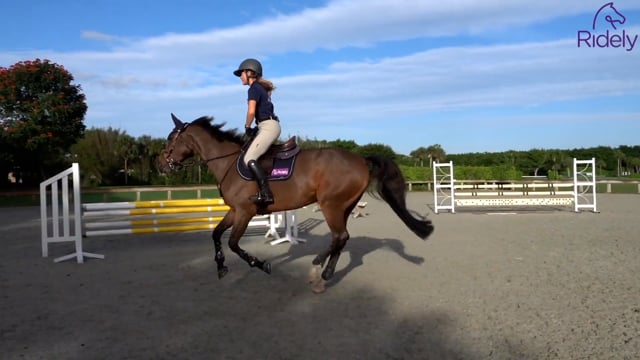 The Importance of Having the Horse on the Leg