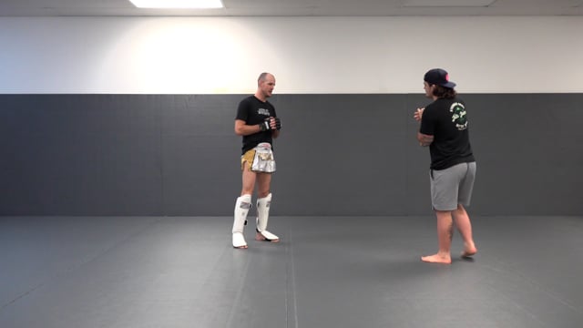 Countering the Push Kick