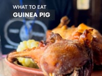 Guinea pig - What to eat in Ecuador