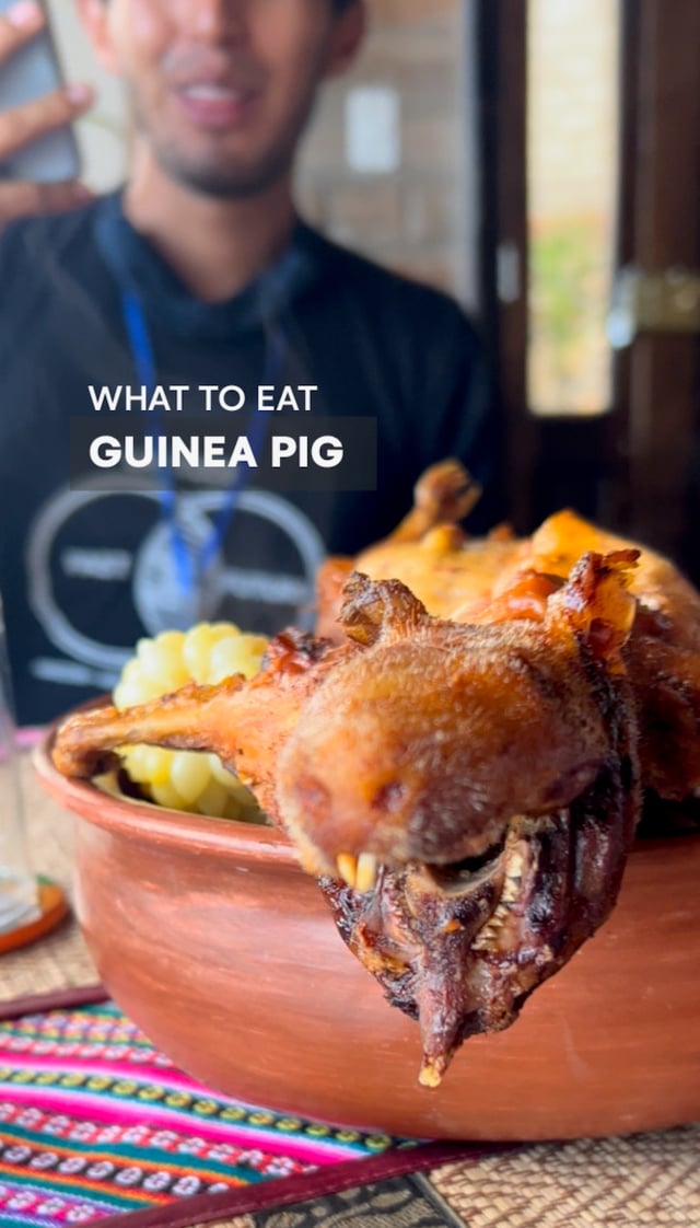 Guinea pig - What to eat in Ecuador