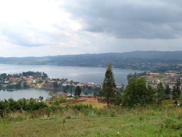 CARAES Bora Shabunda
