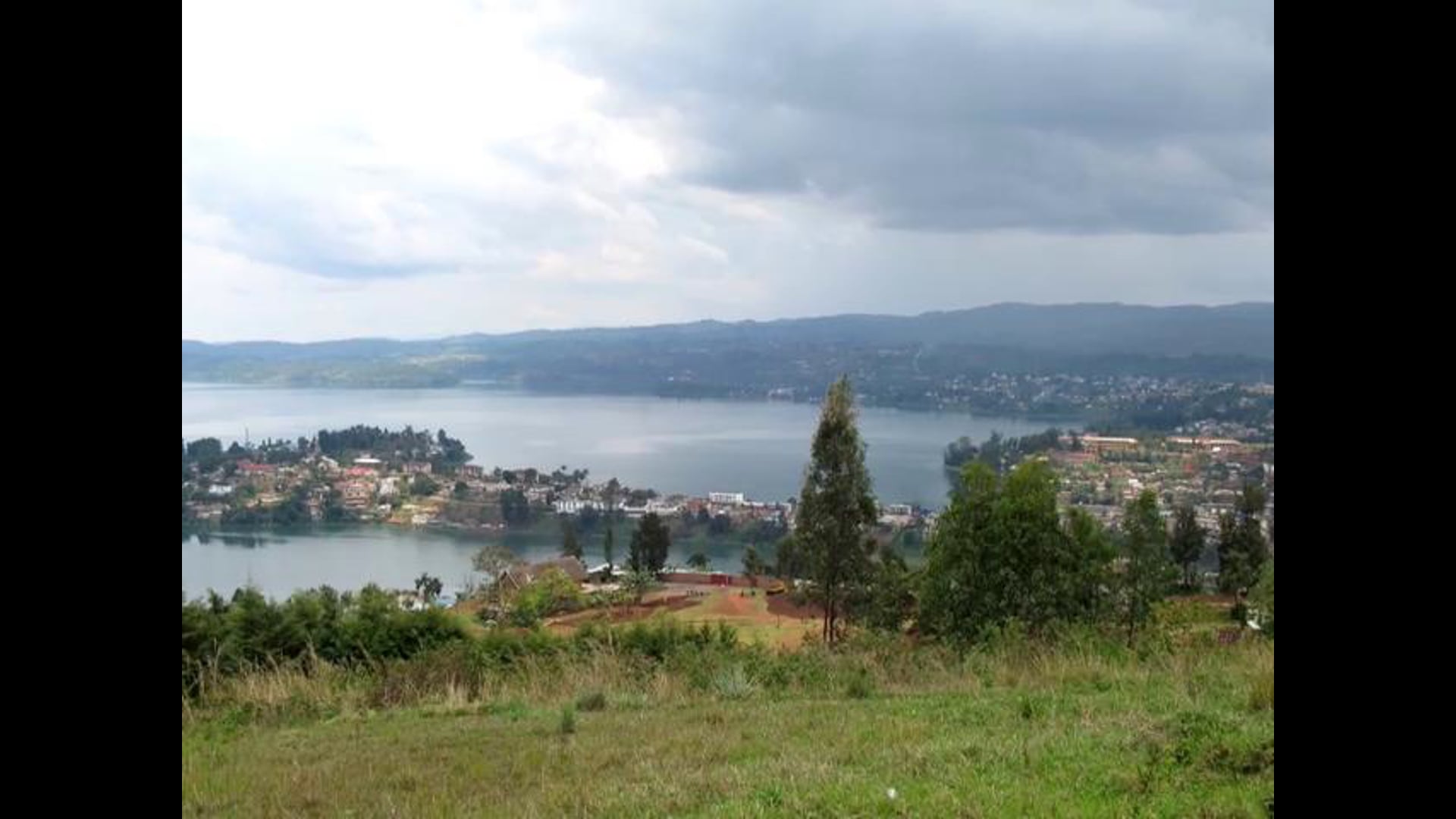 CARAES Bora Shabunda